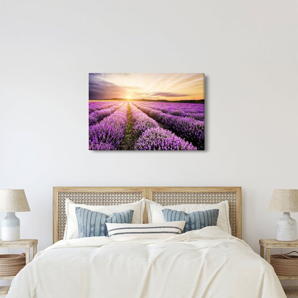 Kép - Napfelkelte levendulamezőn (90x60 cm)