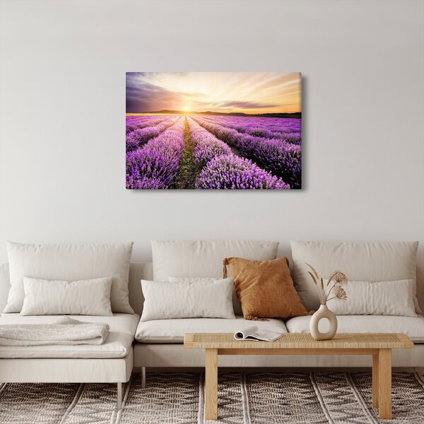 Kép - Napfelkelte levendulamezőn (90x60 cm)