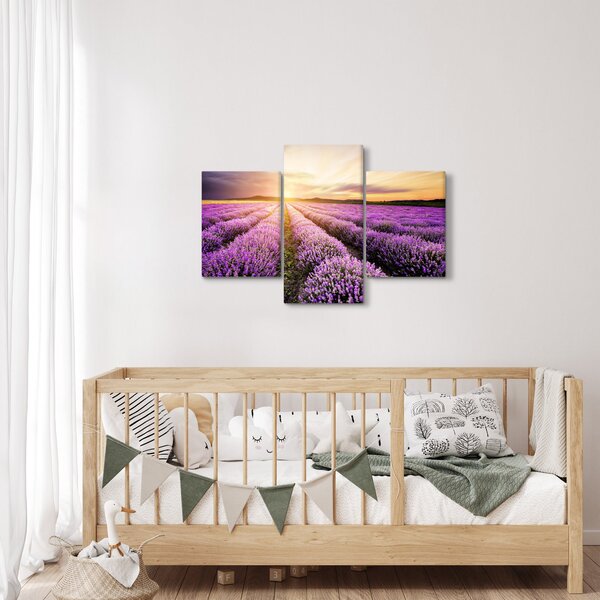Kép - Napfelkelte levendulamezőn (90x60 cm)