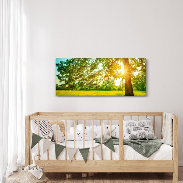 Kép - Sunny Forest (120x50 cm)