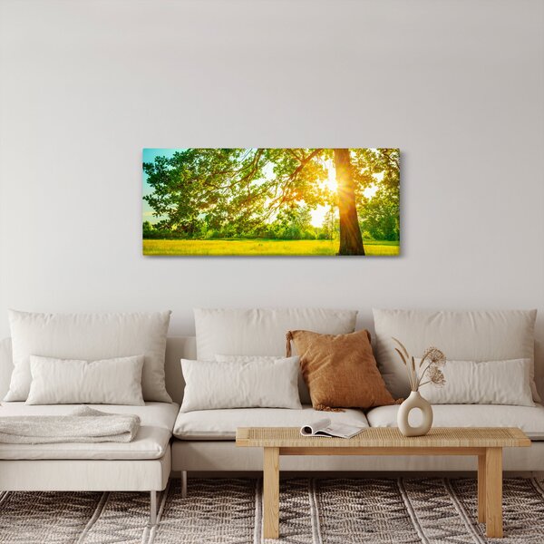 Kép - Sunny Forest (120x50 cm)