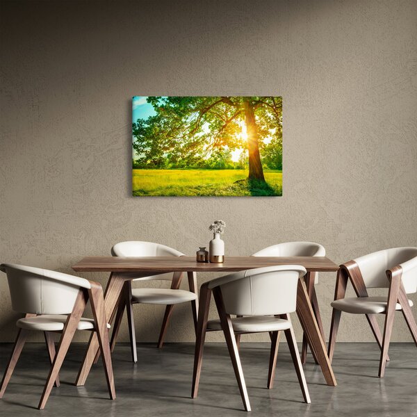Kép - Sunny Forest (90x60 cm)