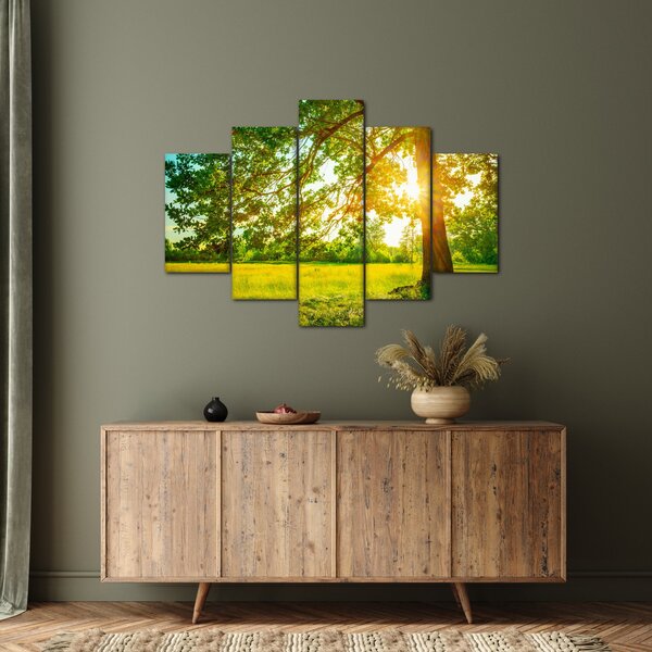 Kép - Sunny Forest (150x105 cm)