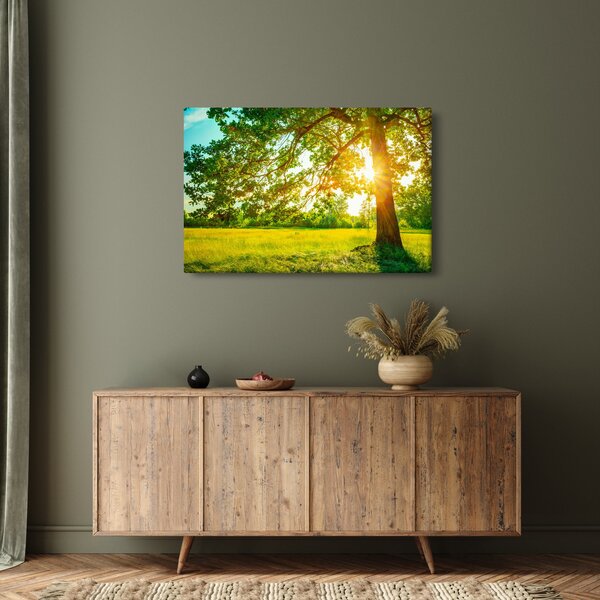 Kép - Sunny Forest (90x60 cm)