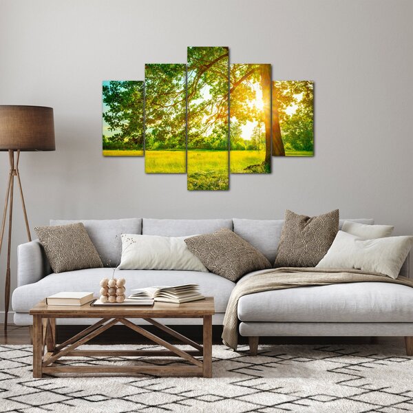 Kép - Sunny Forest (150x105 cm)