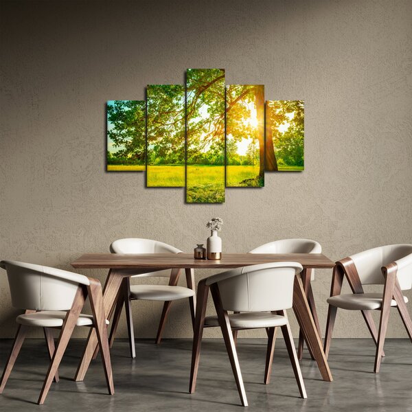 Kép - Sunny Forest (150x105 cm)