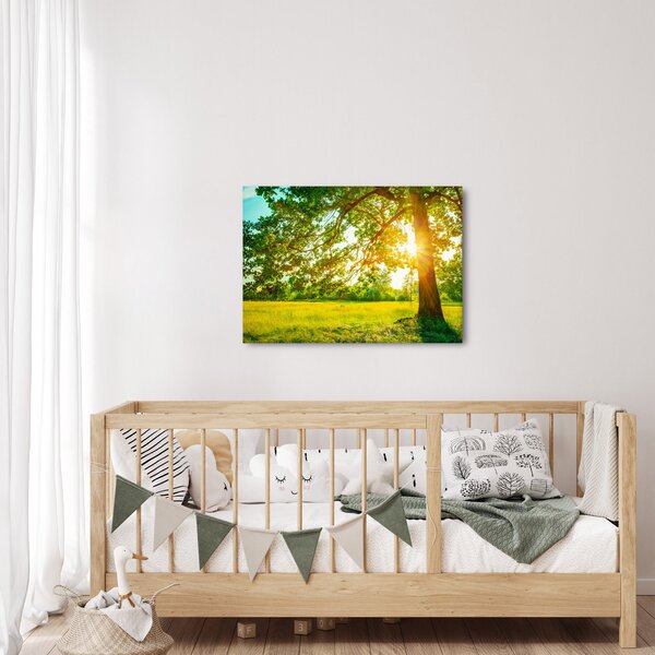 Kép - Sunny Forest (70x50 cm)