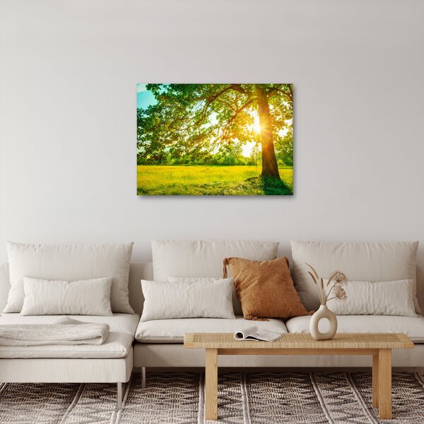 Kép - Sunny Forest (70x50 cm)