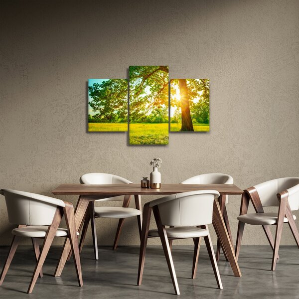 Kép - Sunny Forest (90x60 cm)