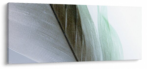 Kép - Tollak, makro (120x50 cm)