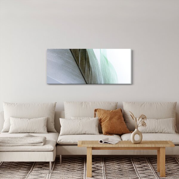 Kép - Tollak, makro (120x50 cm)