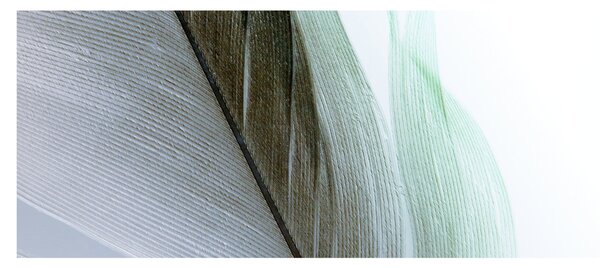 Kép - Tollak, makro (120x50 cm)