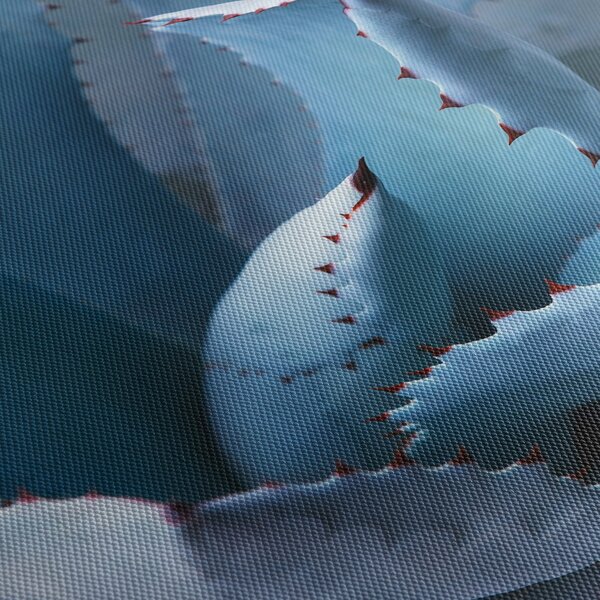 Kép - Agave (órával) (90x30 cm)