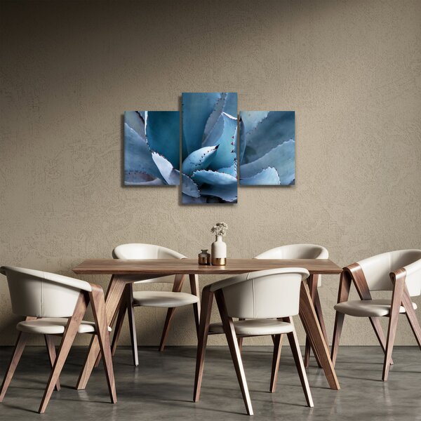 Kép - Agave (90x60 cm)