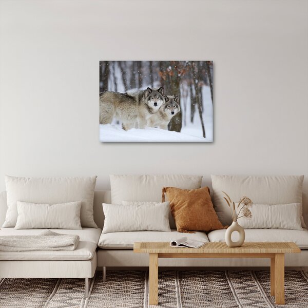 Kép - Farkasok télen (70x50 cm)