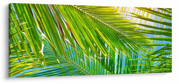 Kép - Pálmalevelek (120x50 cm)