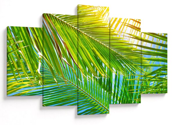 Kép - Pálmalevelek (150x105 cm)
