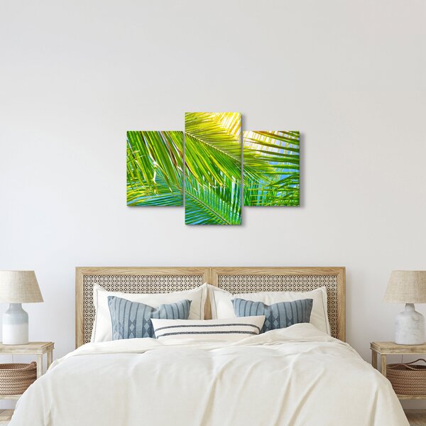 Kép - Pálmalevelek (90x60 cm)