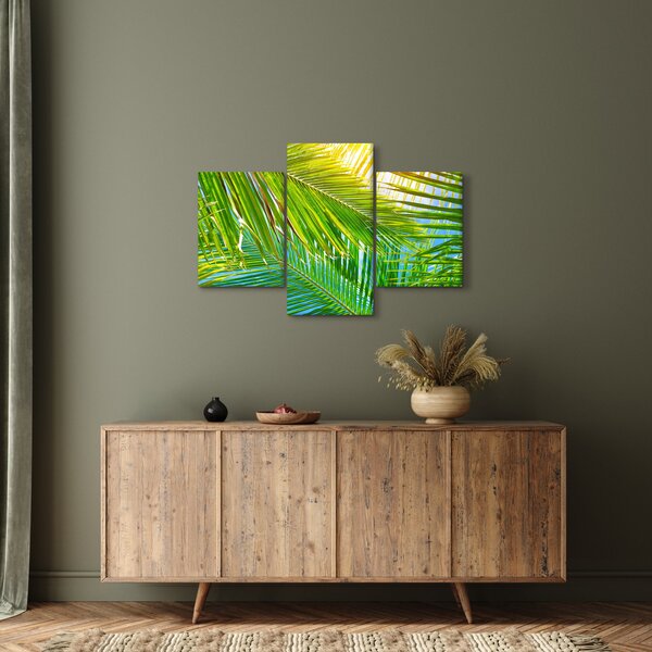 Kép - Pálmalevelek (90x60 cm)