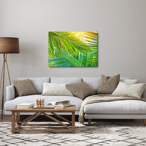 Kép - Pálmalevelek (70x50 cm)