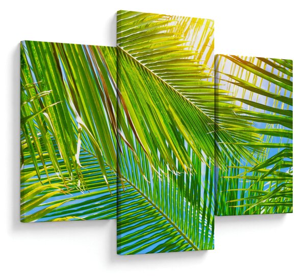 Kép - Pálmalevelek (90x60 cm)