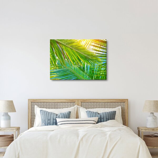 Kép - Pálmalevelek (70x50 cm)