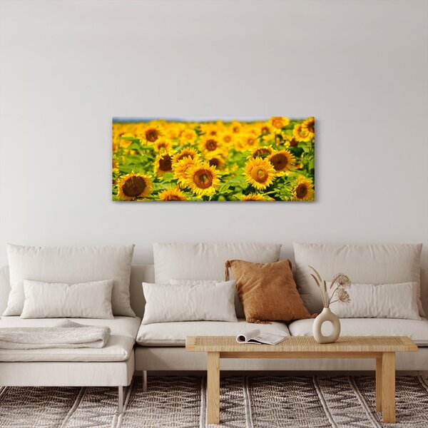 Kép - Napraforgók (120x50 cm)