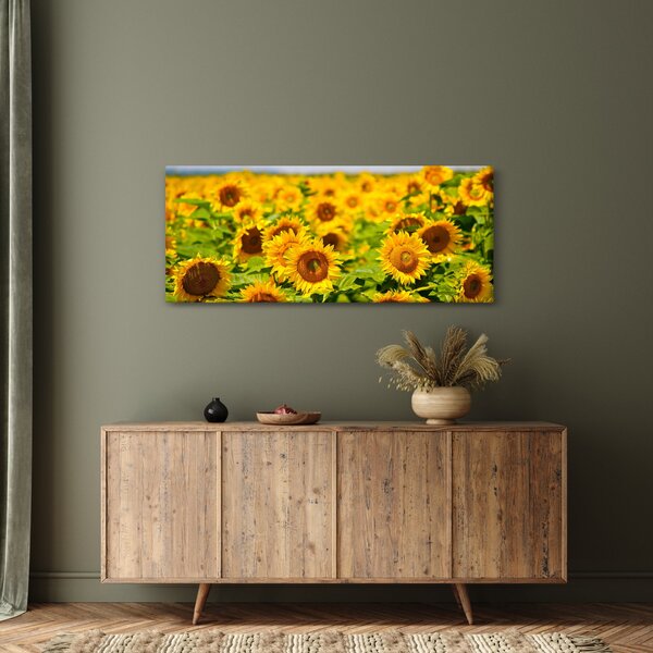Kép - Napraforgók (120x50 cm)