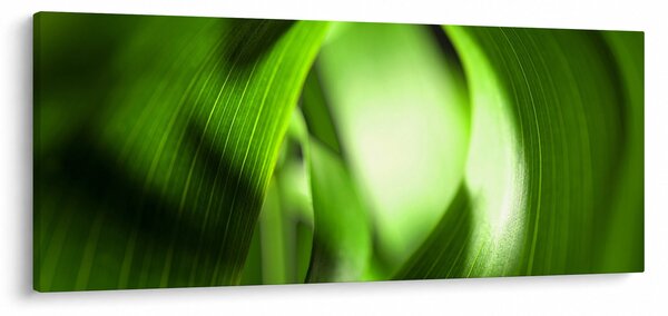 Kép - Egy fűszál (120x50 cm)