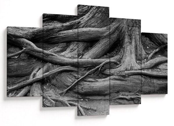 Kép - A fa gyökerei (150x105 cm)