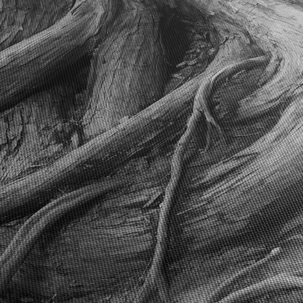 Kép - A fa gyökerei (120x50 cm)