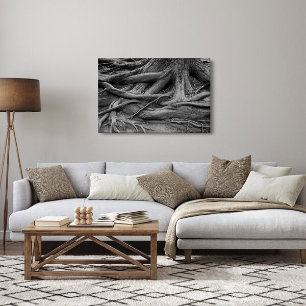 Kép - A fa gyökerei (90x60 cm)