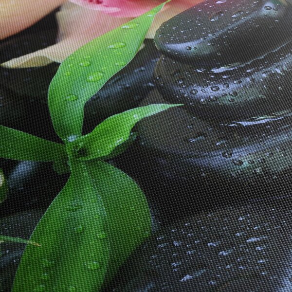 Kép - Kövek és orchideák (90x60 cm)