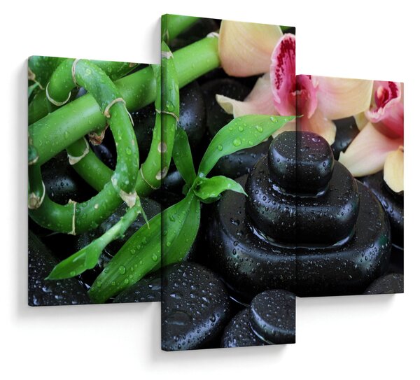 Kép - Kövek és orchideák (90x60 cm)