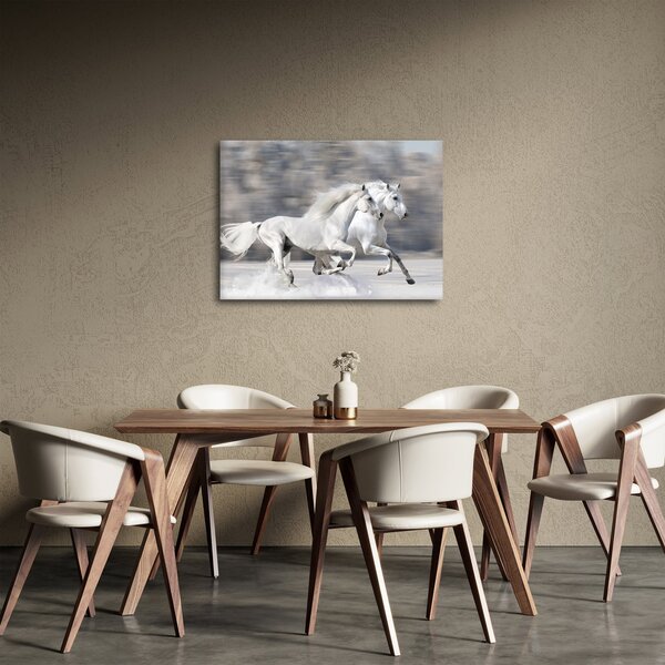 Kép - Fehér lovak télen (70x50 cm)