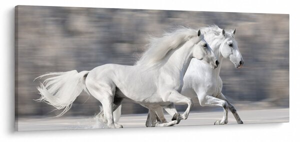 Kép - Fehér lovak télen (120x50 cm)