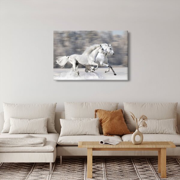 Kép - Fehér lovak télen (90x60 cm)