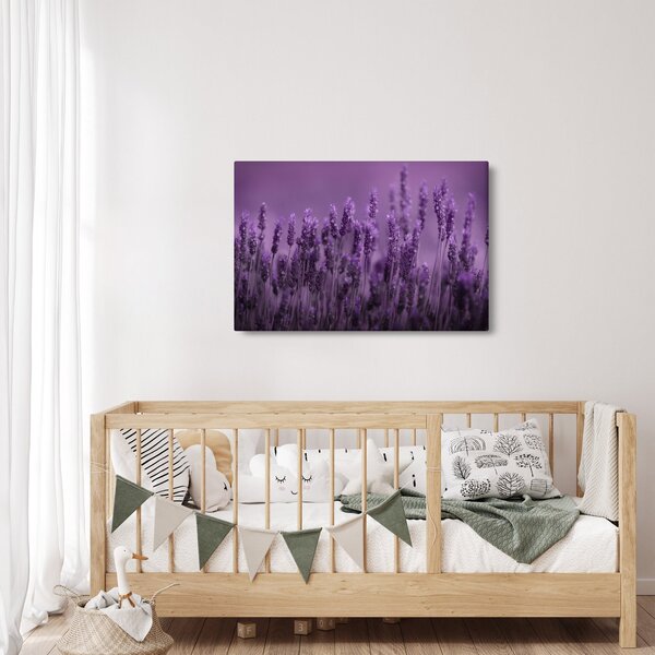 Kép - Levendula (90x60 cm)