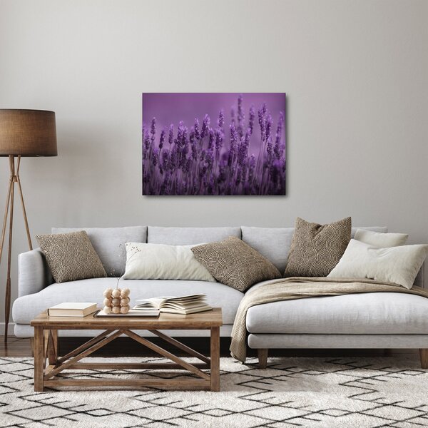 Kép - Levendula (70x50 cm)