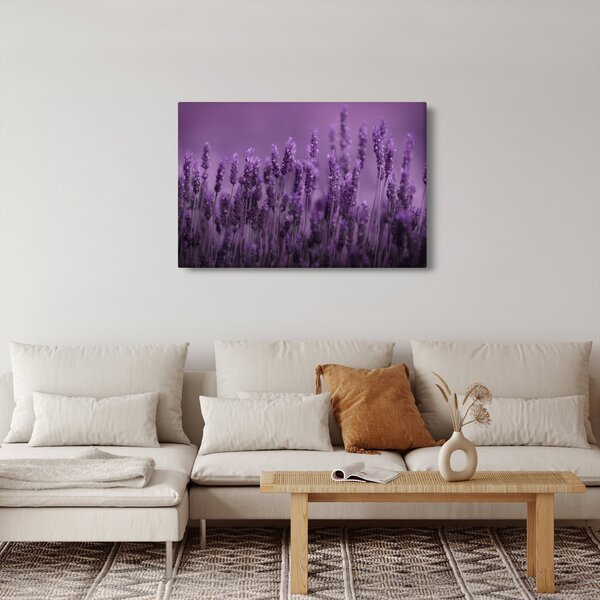 Kép - Levendula (90x60 cm)