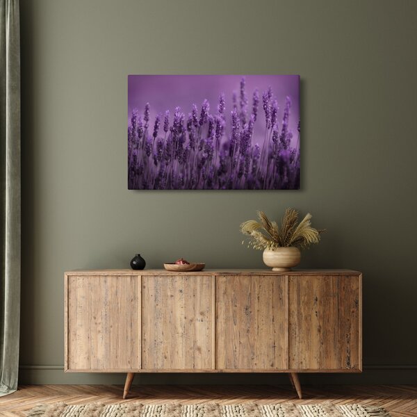 Kép - Levendula (90x60 cm)