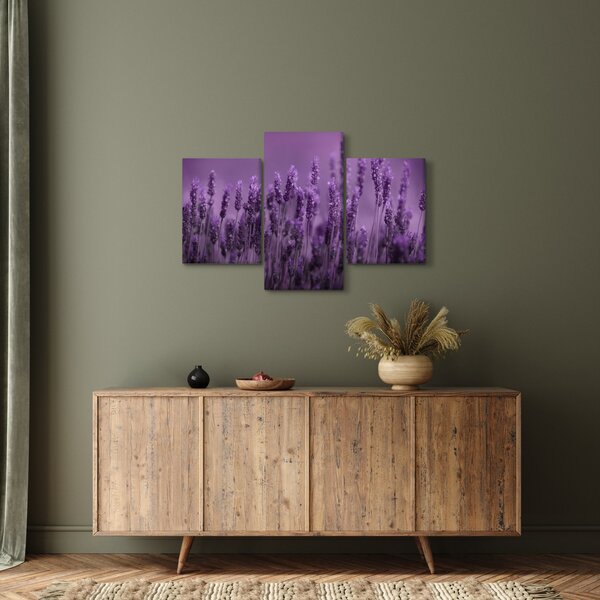 Kép - Levendula (90x60 cm)