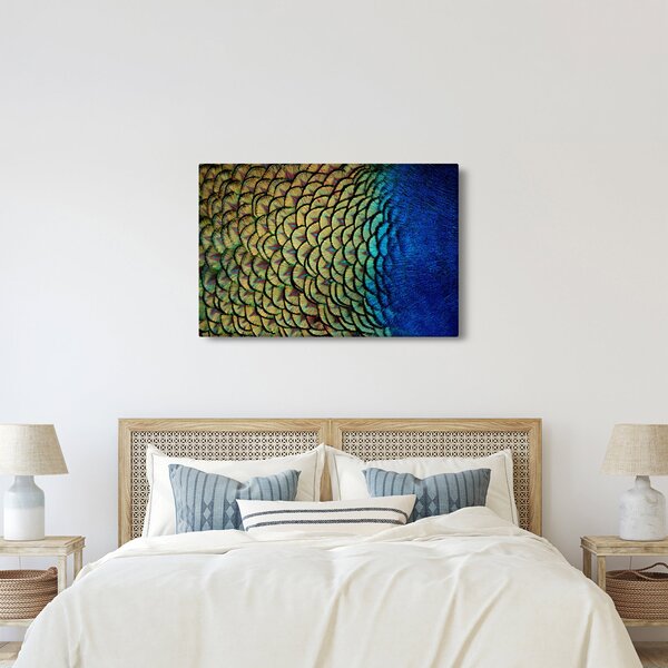 Kép - Pávatollak (90x60 cm)