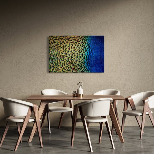Kép - Pávatollak (90x60 cm)