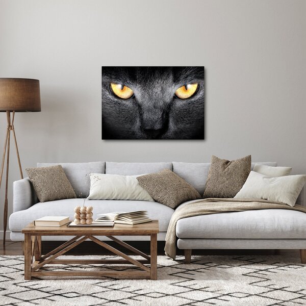 Kép - Közeli portré egy macskáról (70x50 cm)