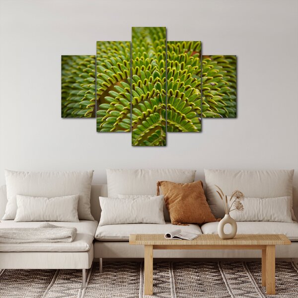 Kép - Fern (150x105 cm)