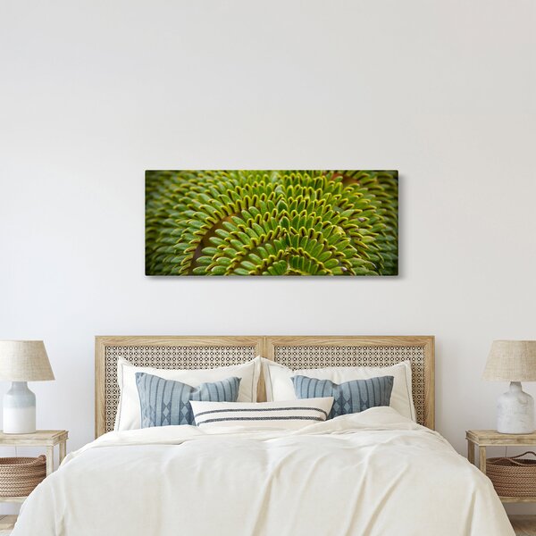 Kép - Fern (120x50 cm)