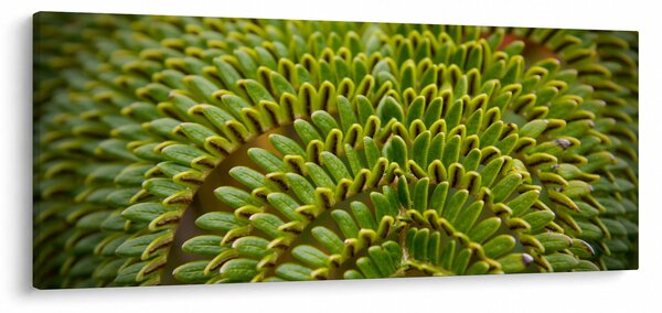 Kép - Fern (120x50 cm)