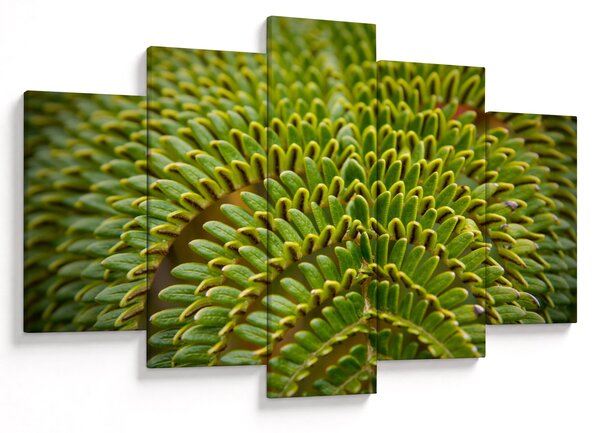 Kép - Fern (150x105 cm)