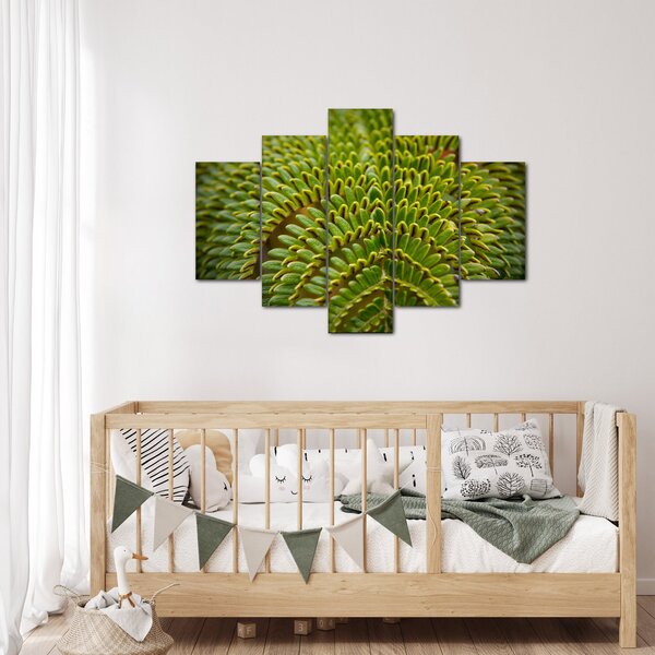 Kép - Fern (150x105 cm)